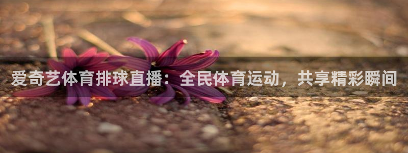 爱奇艺体育排球直播：全民体育运动，共享精彩瞬间