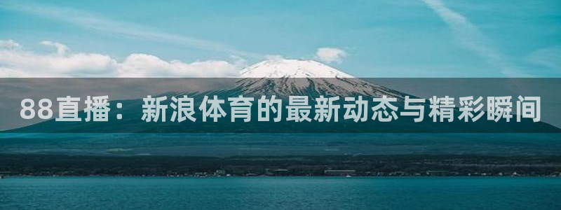 88直播：新浪体育的最新动态与精彩瞬间