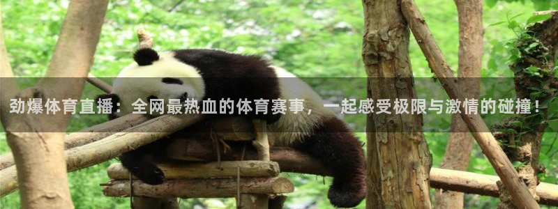 劲爆体育直播：全网最热血的体育赛事，一起感受极限与激情的碰撞！