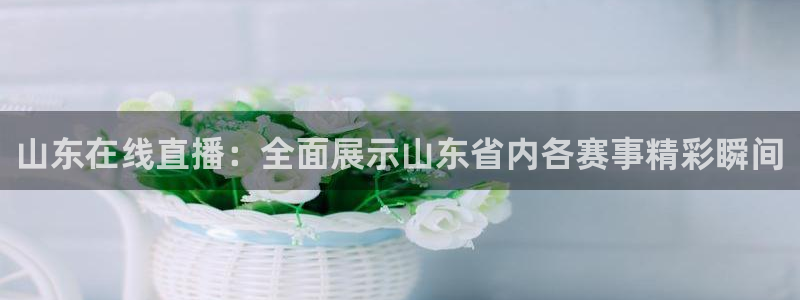 山东在线直播：全面展示山东省内各赛事精彩瞬间