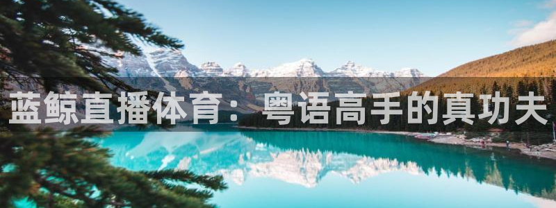 蓝鲸直播体育：粤语高手的真功夫