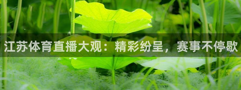江苏体育直播大观：精彩纷呈，赛事不停歇