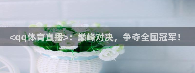 <qq体育直播>：巅峰对决，争夺全国冠军！