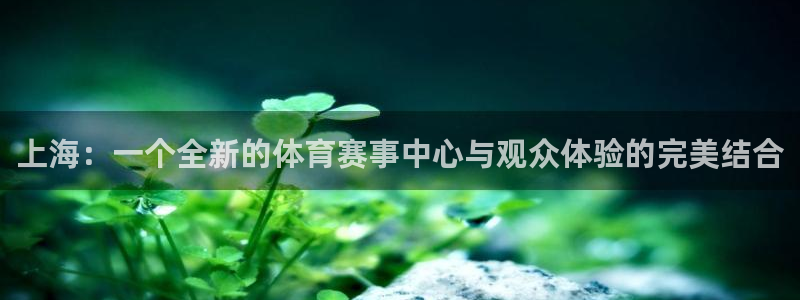 上海：一个全新的体育赛事中心与观众体验的完美结合