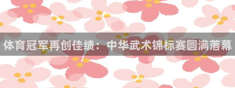 体育冠军再创佳绩：中华武术锦标赛圆满落幕