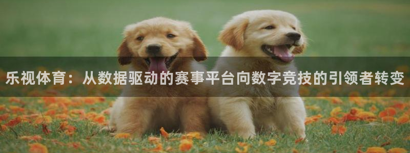 乐视体育：从数据驱动的赛事平台向数字竞技的引领者转变
