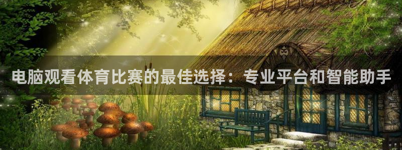 电脑观看体育比赛的最佳选择：专业平台和智能助手