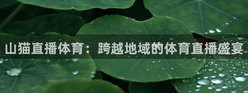 山猫直播体育：跨越地域的体育直播盛宴
