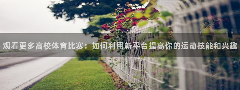 观看更多高校体育比赛：如何利用新平台提高你的运动技能和兴趣