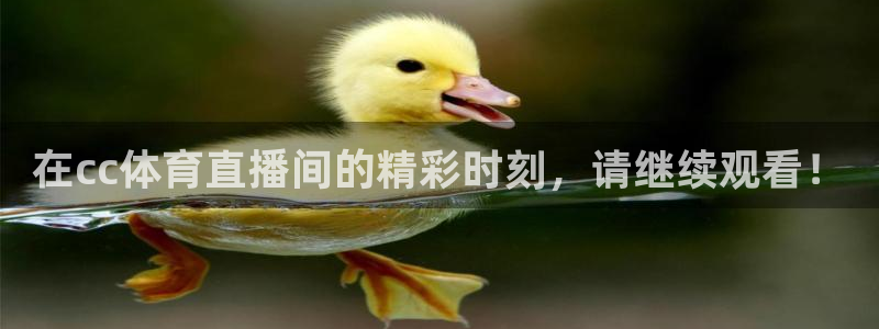 在cc体育直播间的精彩时刻，请继续观看！