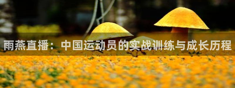 雨燕直播：中国运动员的实战训练与成长历程