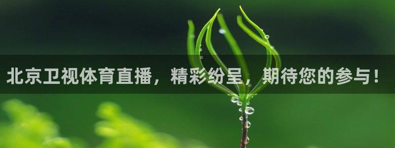 北京卫视体育直播，精彩纷呈，期待您的参与！
